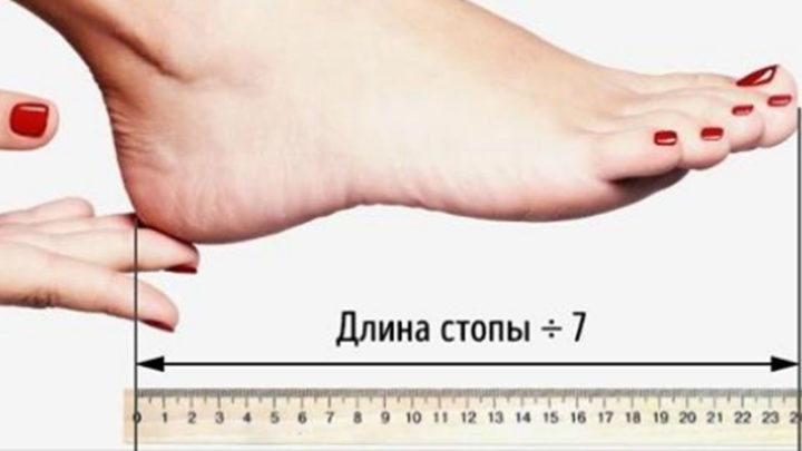 Методика определения оптимальной высоты каблука.