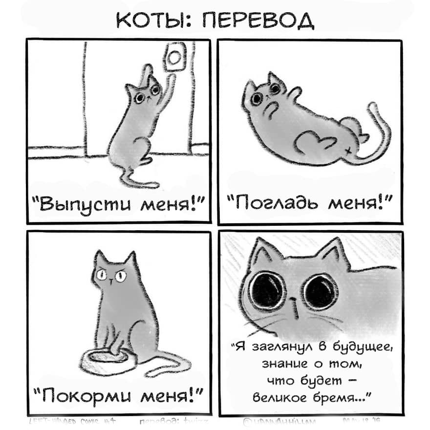 Кот слово и картинка