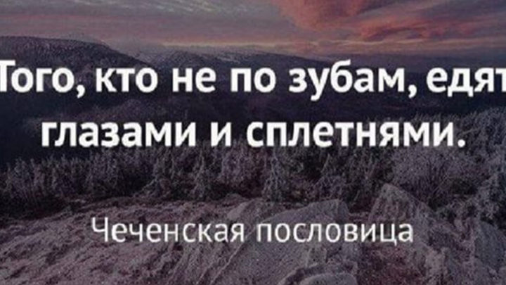 15 острых и умных высказываний, в которых кроется — вся суть.