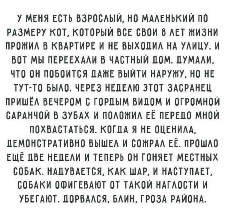 Читать истории из реальной жизни. Смешные правдоподобные истории. Интересные правдивые истории из жизни. Смешные правдивые истории из жизни реальной. Смешные истории из жизни отцов.