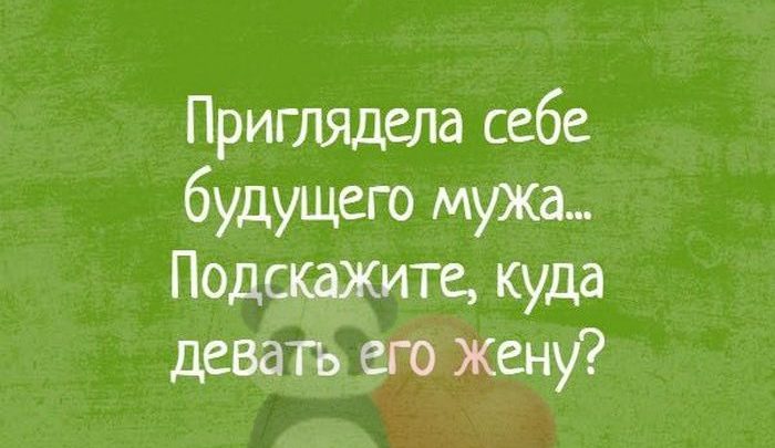 Хорошие и душевные истории для отличного настроения