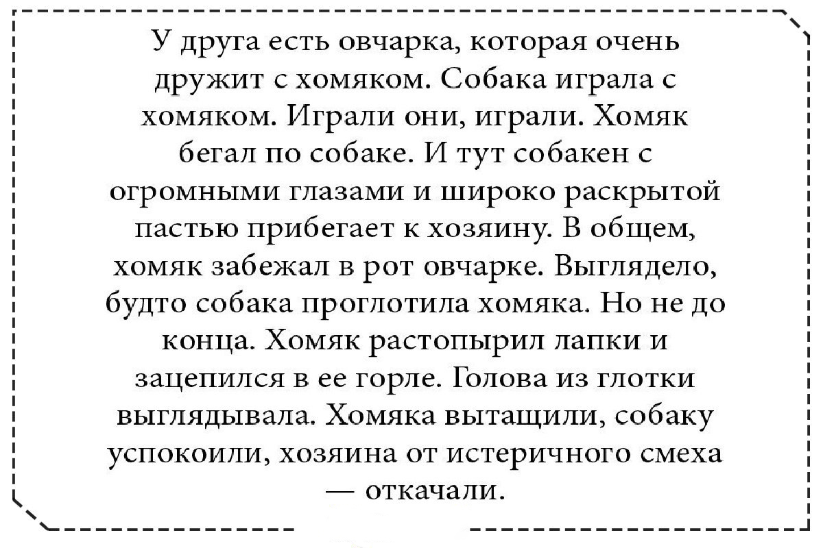 Добрые истории. Добрые истории из жизни. Добрые истории из жизни людей. Смешные добрые истории из жизни для детей. Добрые истории из жизни короткие.